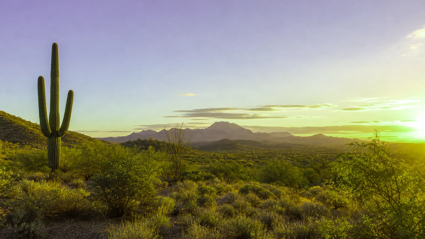 Arizona Land Buyers: How to Compare Direct Cash Offers Arizona land guide