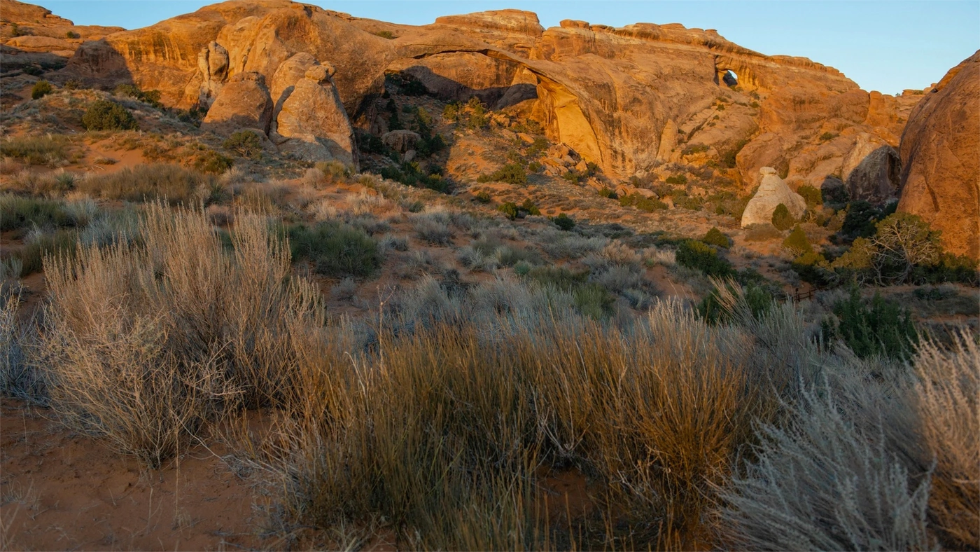 How to Sell Land Fast in Arizona Arizona land guide
