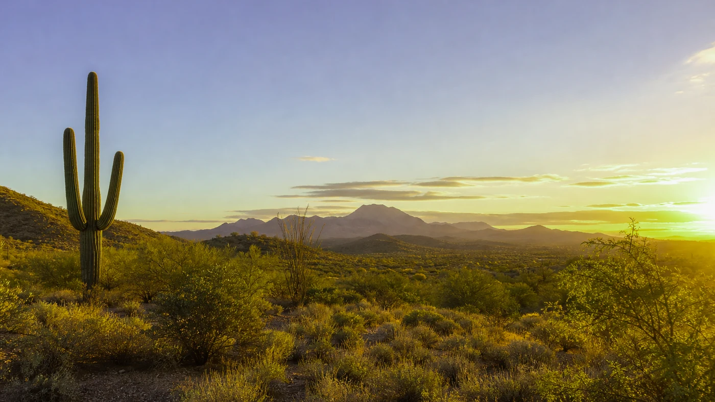 How to Sell Land Online in Arizona Arizona land guide