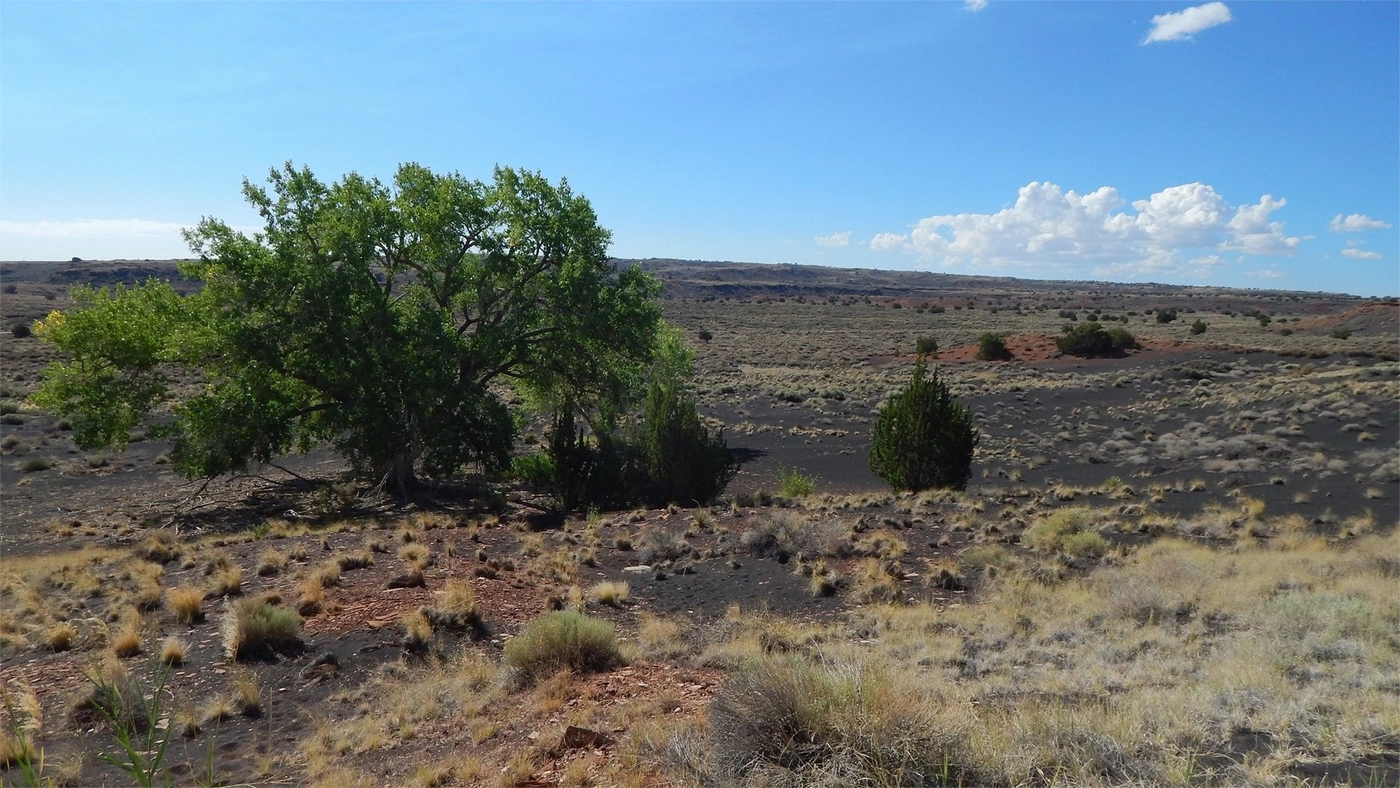 How to Sell Land Online in Arizona Arizona land guide