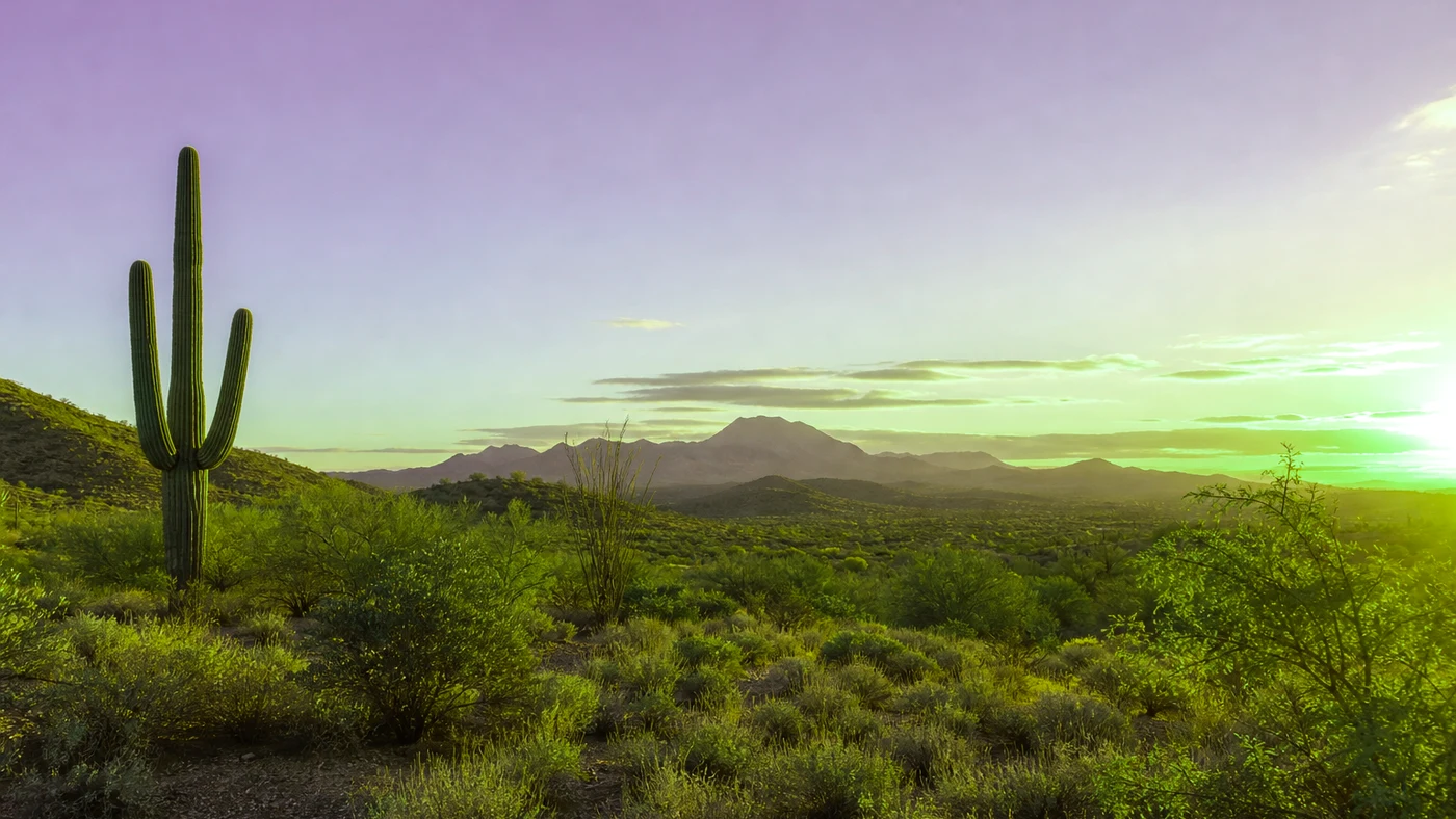 How to Sell Land Without a Realtor in Arizona Arizona land guide