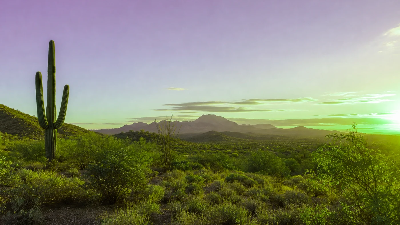Legal Documents for Selling Land in Arizona Arizona land guide