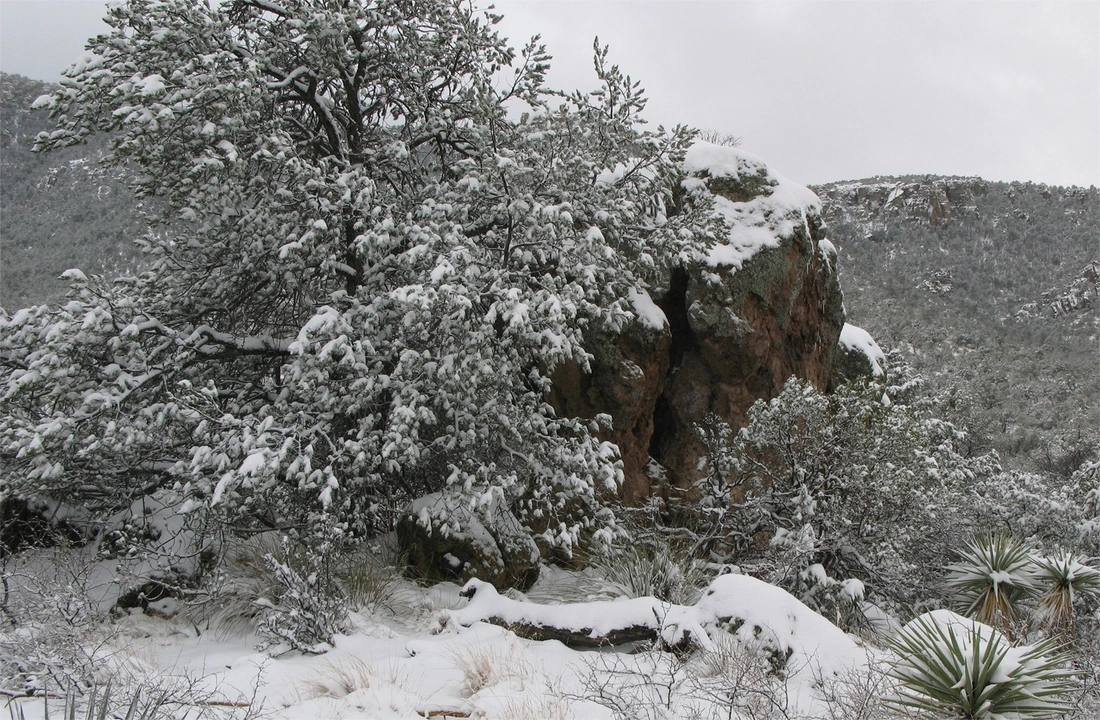 Arizona land parcel records for Arizona Land Buyers: How to Compare Direct Cash Offers