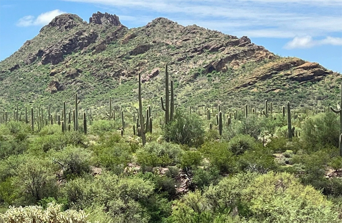 Arizona land offer review for Arizona Land Buyers: How to Compare Direct Cash Offers