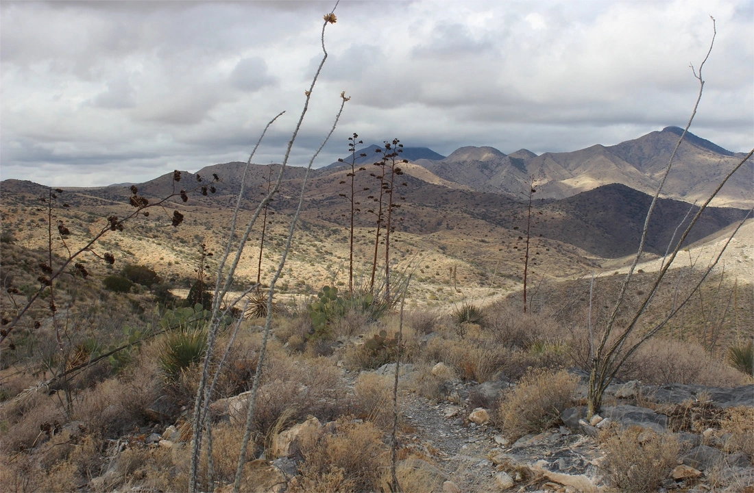Arizona land parcel records for How to Sell Inherited Land in Arizona