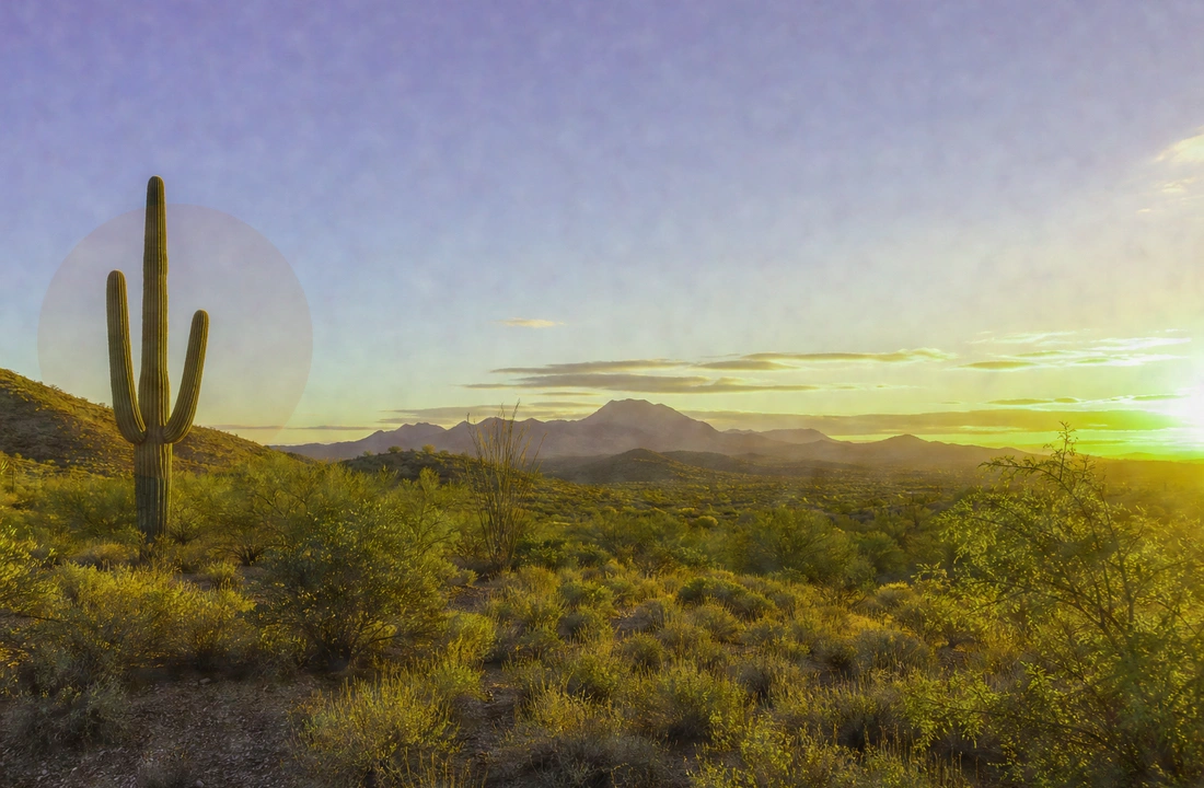 Arizona land offer review for How to Sell Inherited Land in Arizona