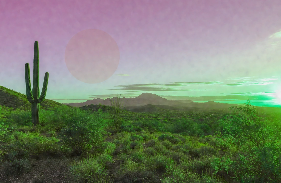 Arizona land parcel records for How to Sell Land Fast in Arizona