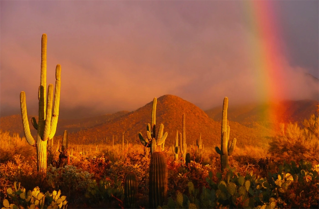 Arizona land closing documents for How to Sell Land Fast in Arizona