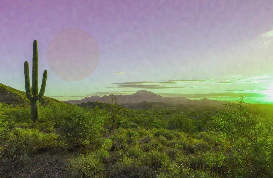Arizona land parcel records for How to Sell Land Online in Arizona