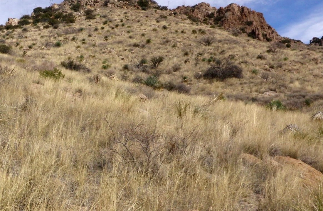 Arizona land parcel records for How to Sell Land Online in Arizona