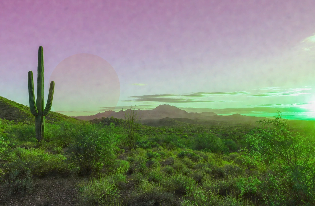 Arizona land offer review for How to Sell Land Online in Arizona