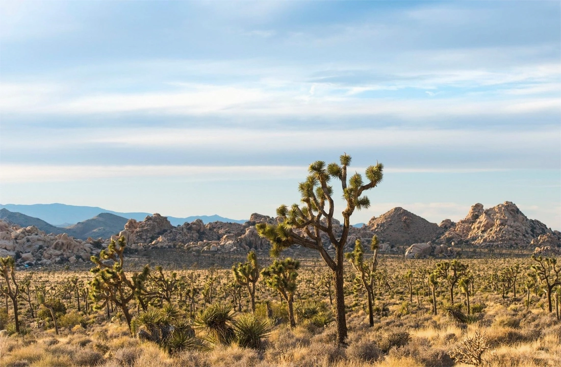 Arizona land parcel records for How to Sell Land Without a Realtor in Arizona