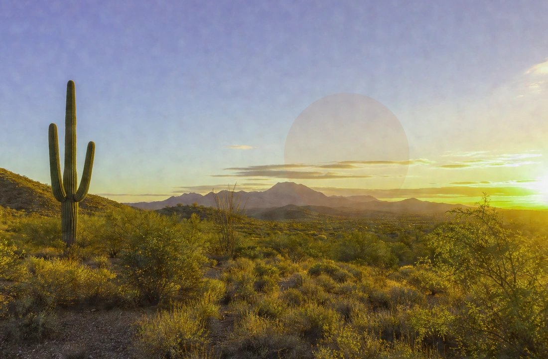 Arizona land offer review for How to Sell Land Without a Realtor in Arizona