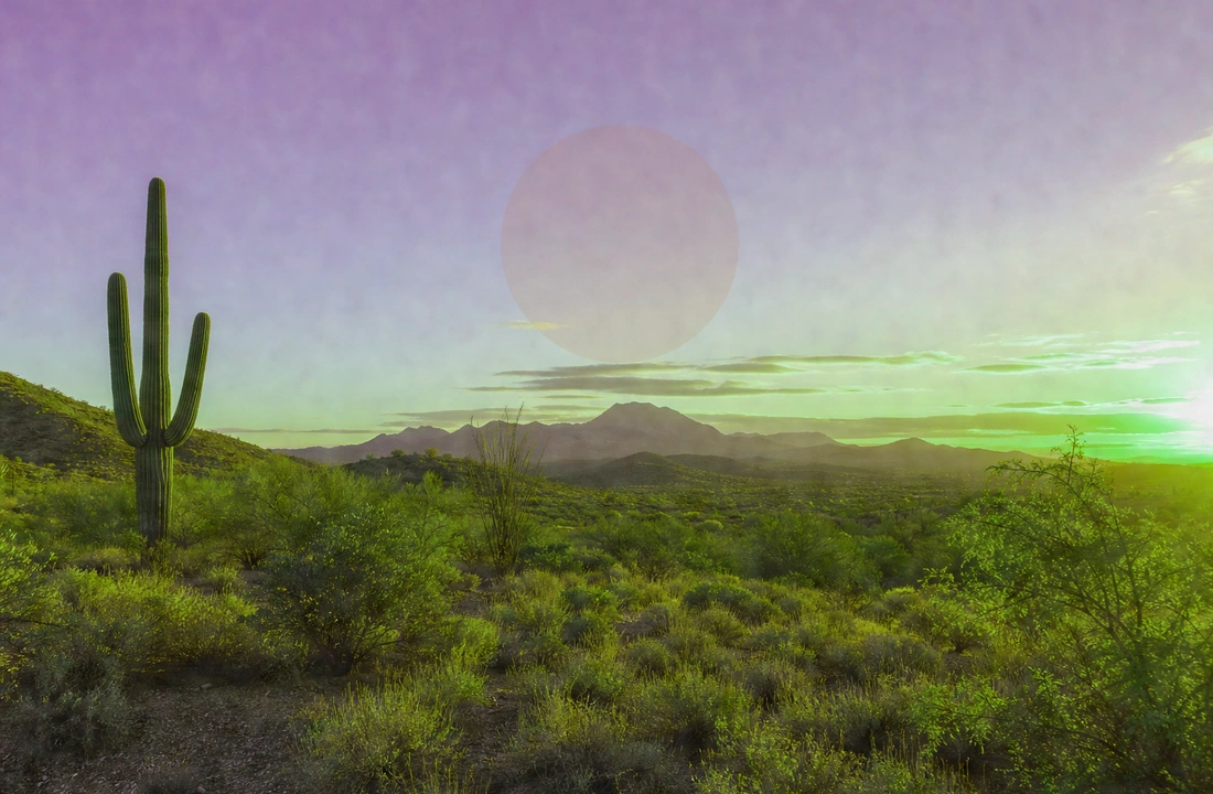 Arizona land parcel records for How to Sell Land Without Clear Title in Arizona