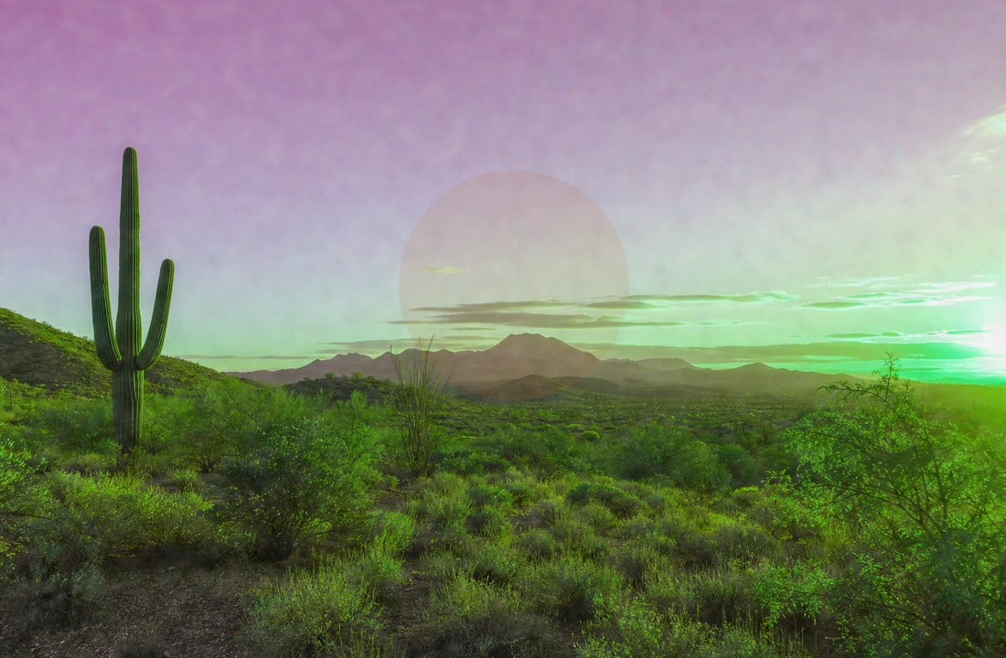 Arizona land offer review for How to Sell Land Without Clear Title in Arizona
