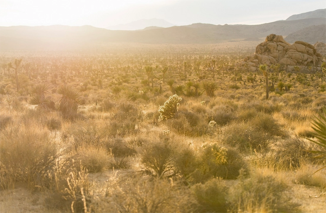 Arizona land offer review for Legal Documents for Selling Land in Arizona