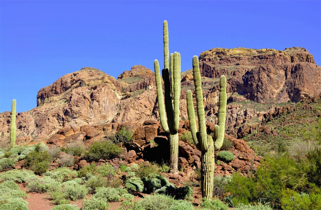 Arizona land closing documents for Legal Documents for Selling Land in Arizona