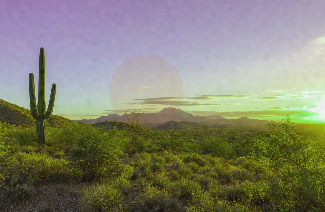 Arizona land offer review for Selling Land to a Developer in Arizona