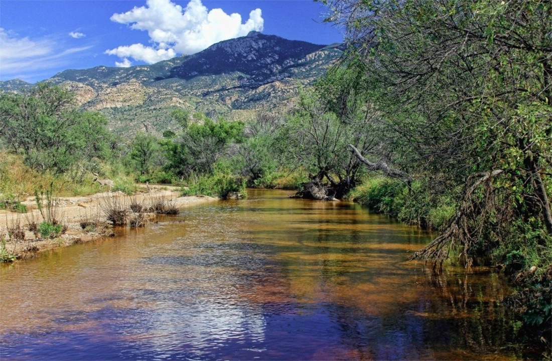 Arizona land offer review for Selling Land to a Developer in Arizona