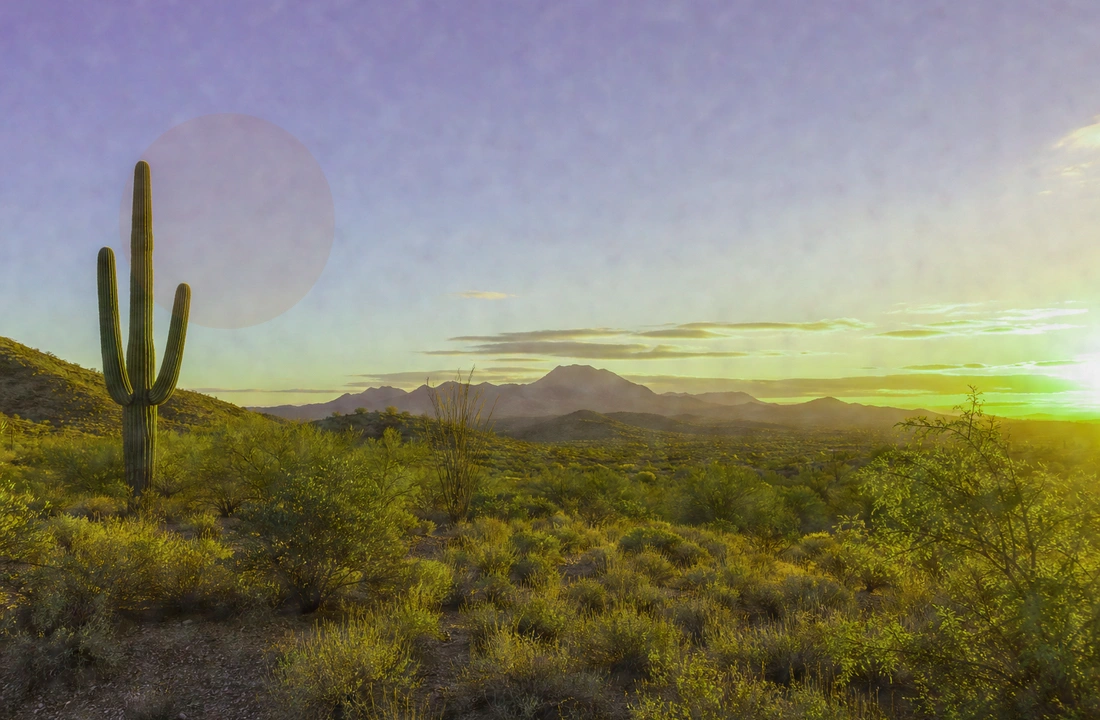 Arizona land parcel records for Tax on Selling Land in Arizona