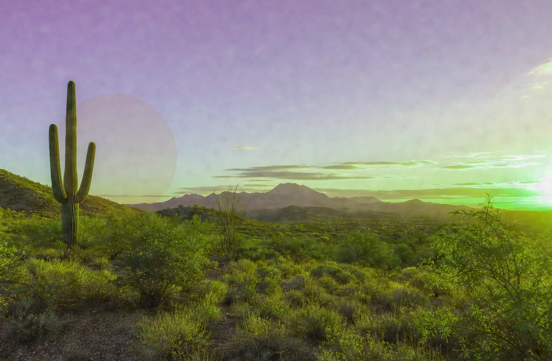 Arizona land offer review for Tax on Selling Land in Arizona