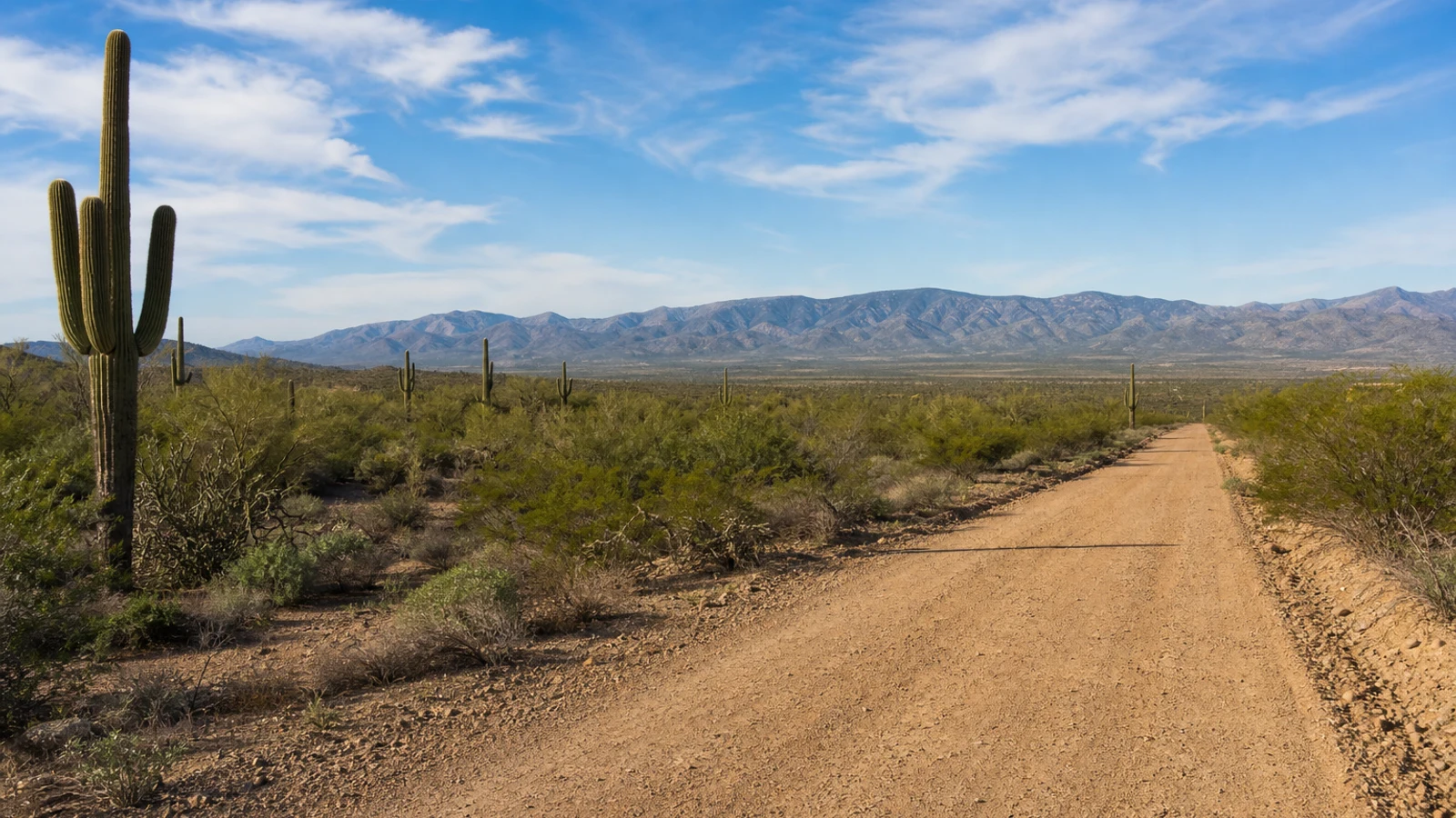 Open Arizona land access road near Apache County