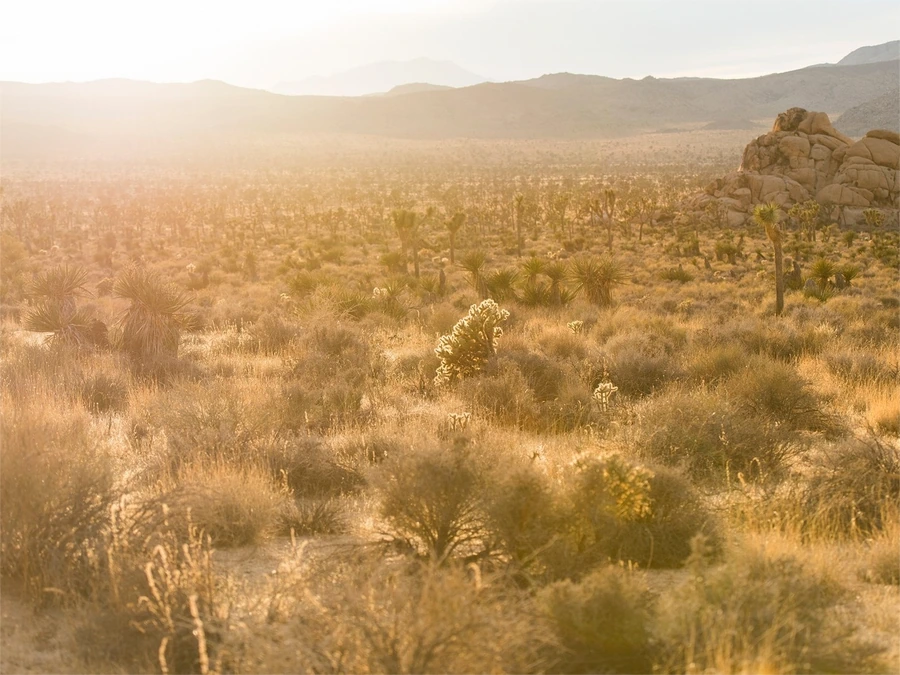Vacant Lots in Apache County