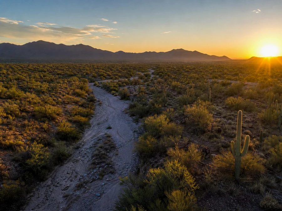 Desert Acreage in Apache County